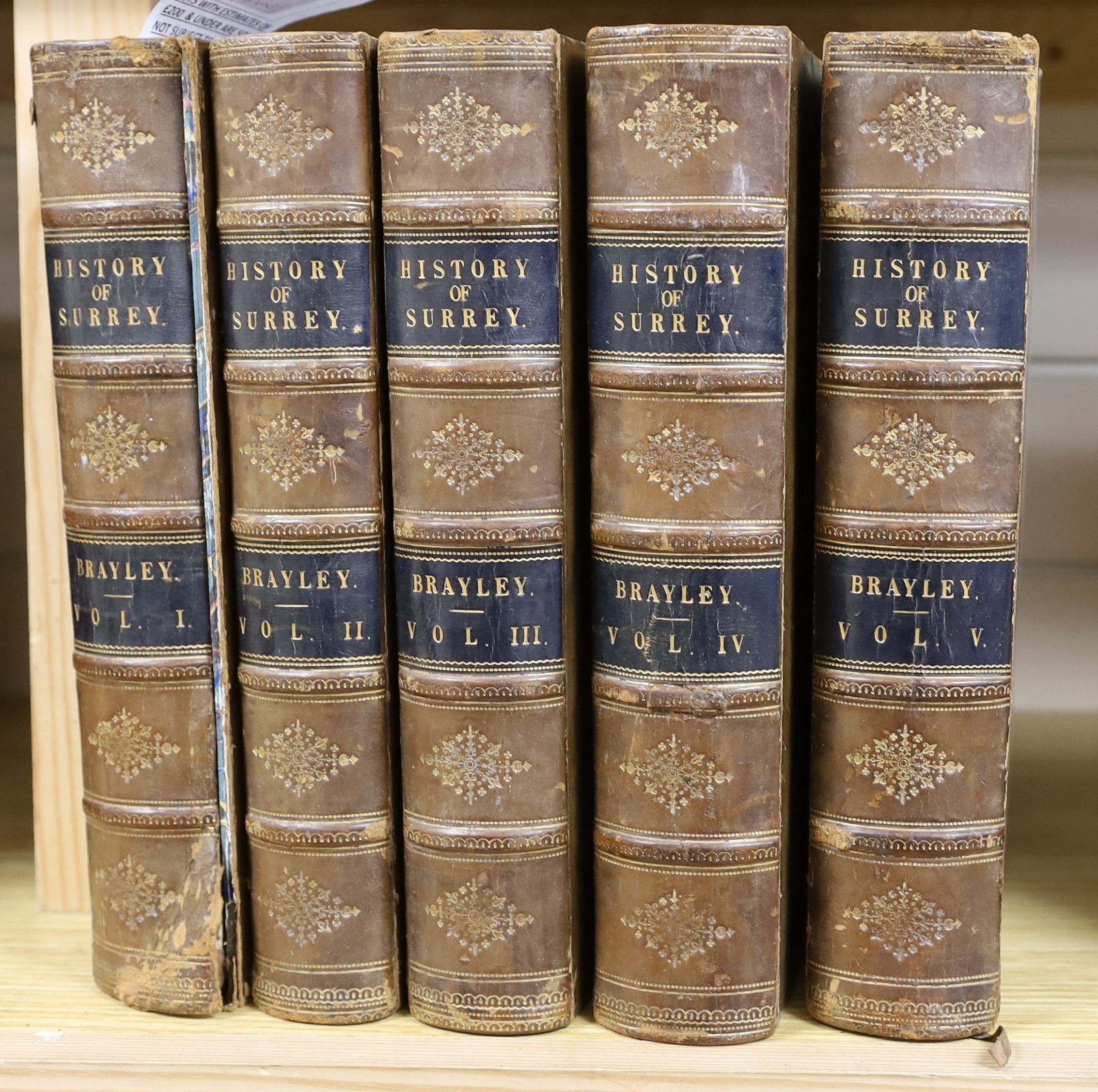 Brayley, Edward Wedlake - A Topographical History of Surrey .. the Geological section by Gideon Mantell ... 5 vols., hand-coloured decorated titles, many engraved plates